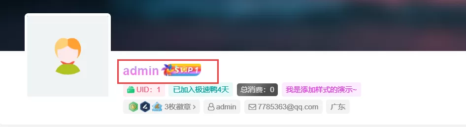 子比主题美化-用户名昵称渐变流彩字体效果-极速鸭